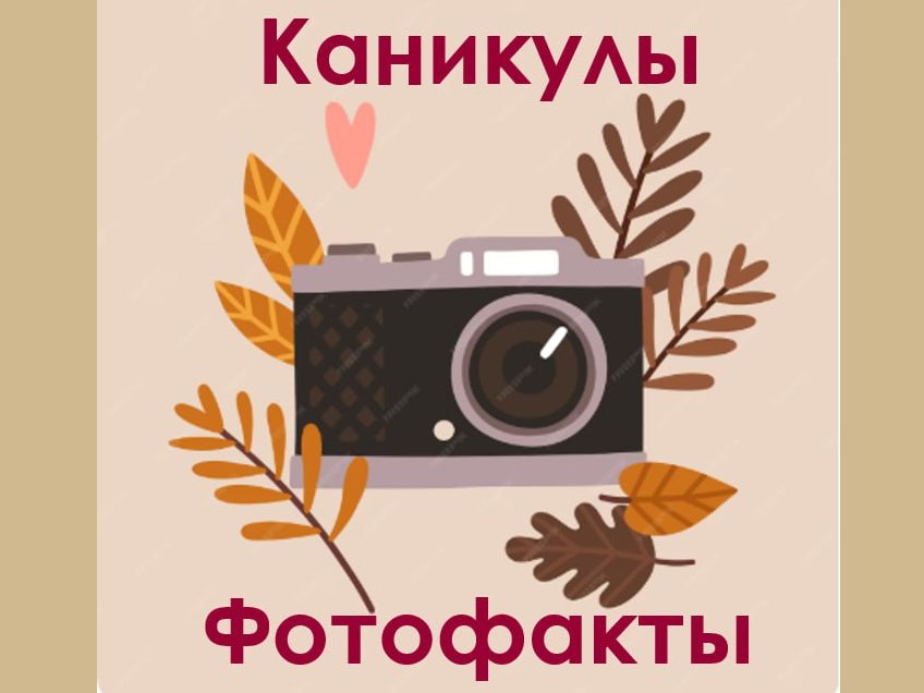 Новости