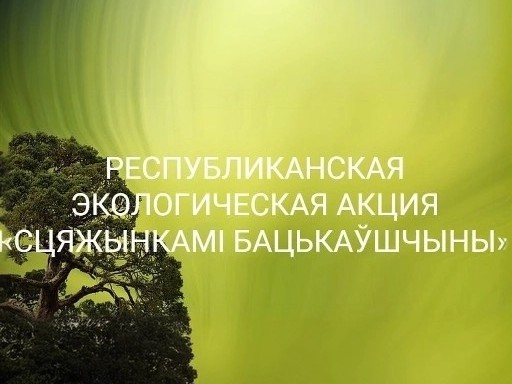 Новости