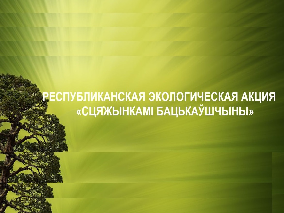 Новости