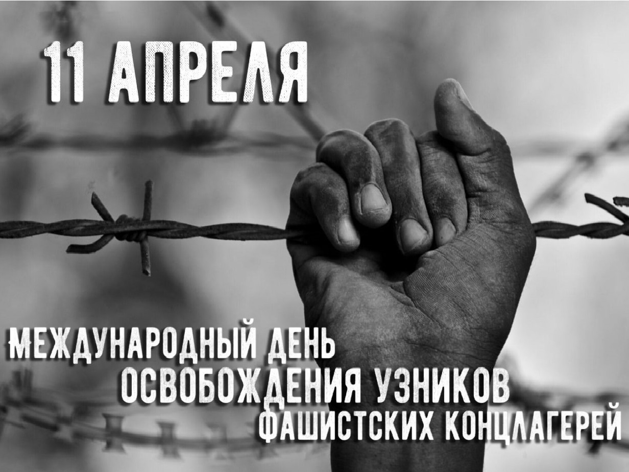 Новости